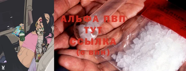спиды Белокуриха
