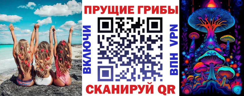 Псилоцибиновые грибы MAGIC MUSHROOMS  Куровское 